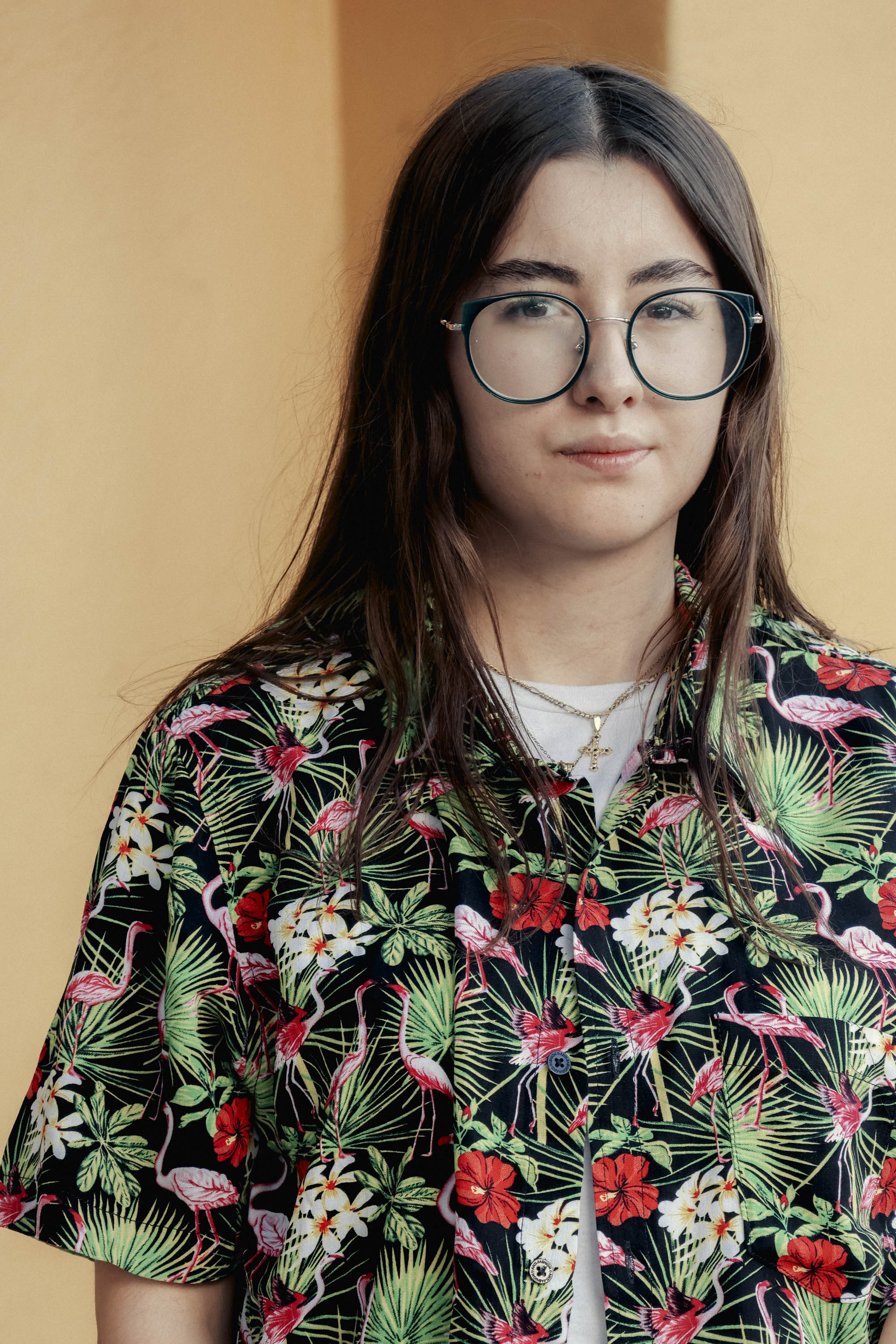 Camisa Flamingos Negro