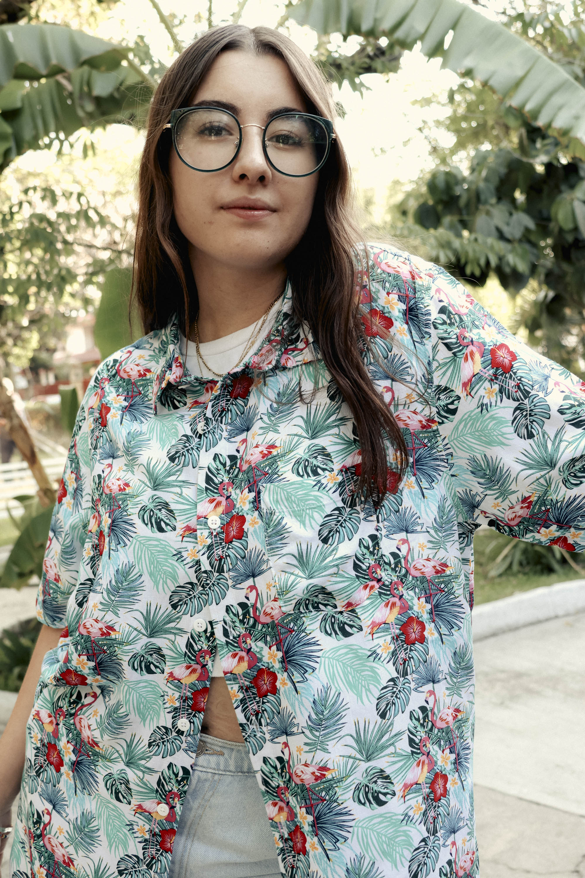 Camisa Flamingos Blanco