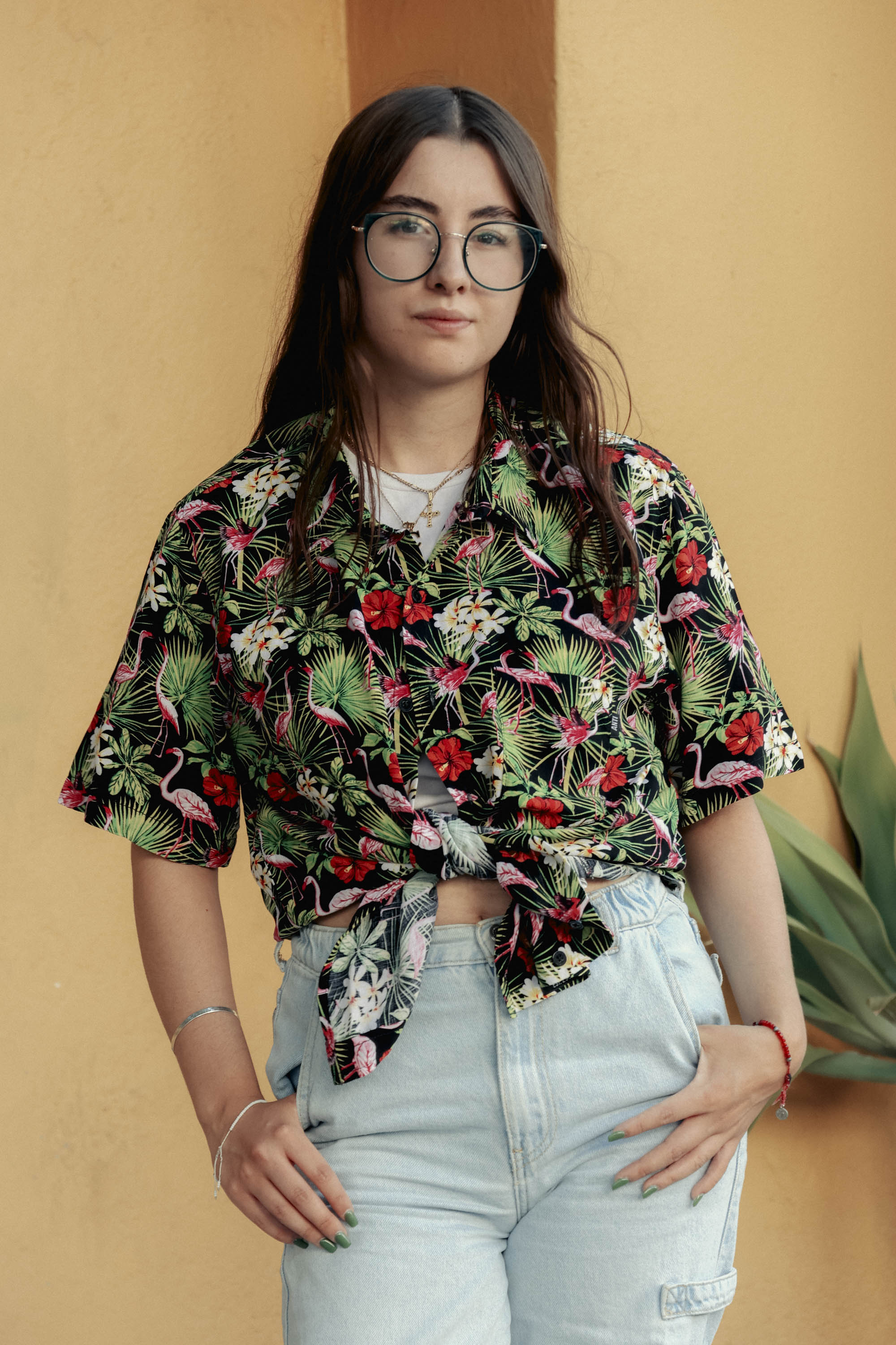 Camisa Flamingos Negro