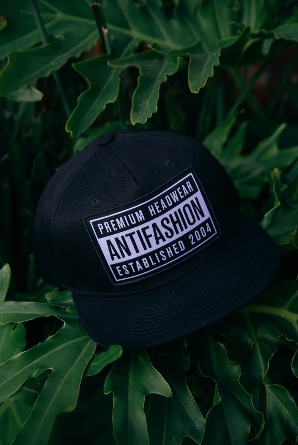 Gorra Advisory