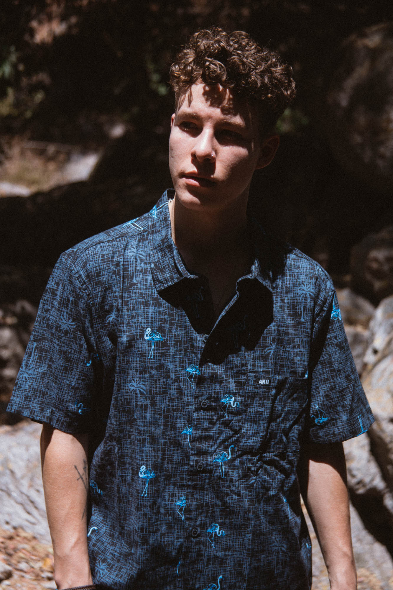 Camisa  Flamingos
