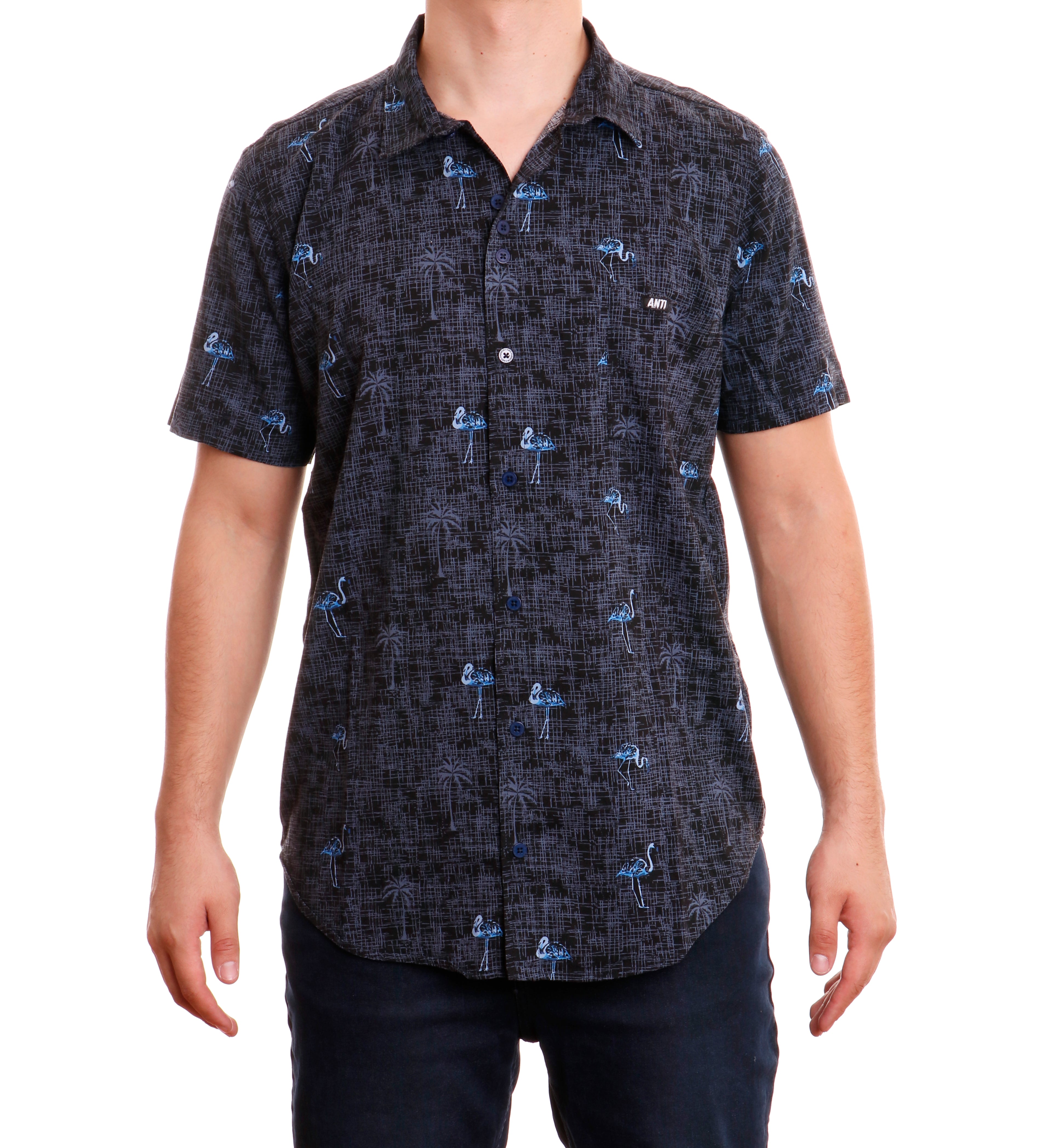 Camisa  Flamingos